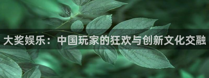 先锋娱乐公司