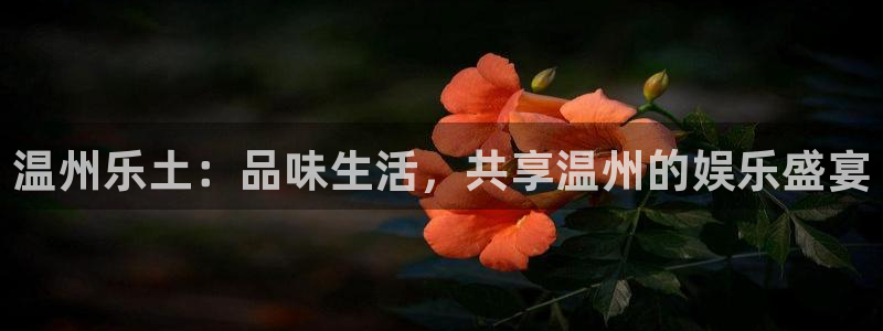 先锋娱乐平台