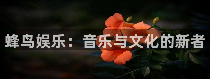 先锋娱乐公司